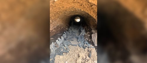 Concrete Infrastructure Matters in Wildfire-Prone Areas