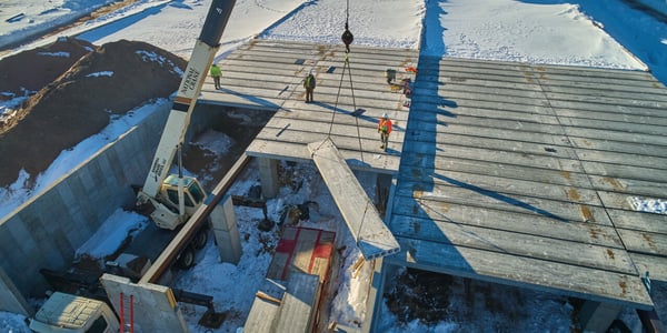 Baumann Wisconsin Ginseng