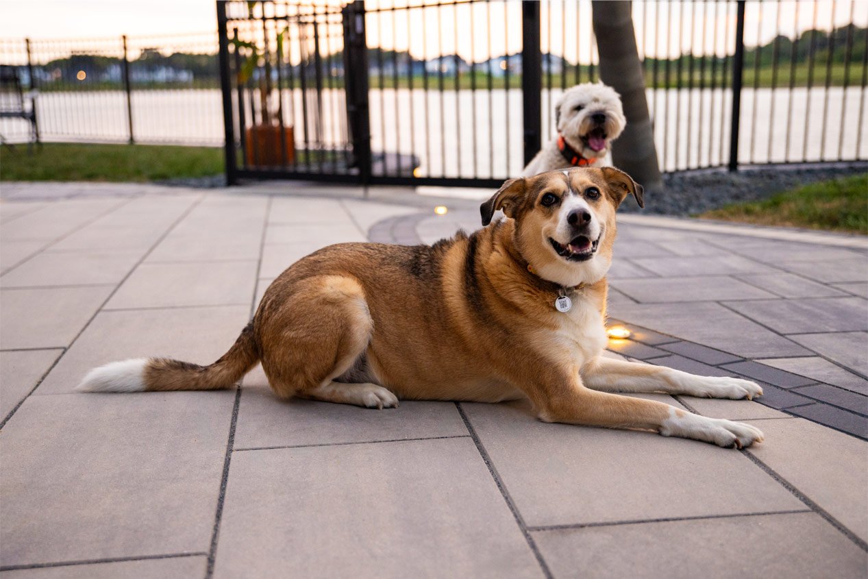 Shoreline_Harmony_Image_1