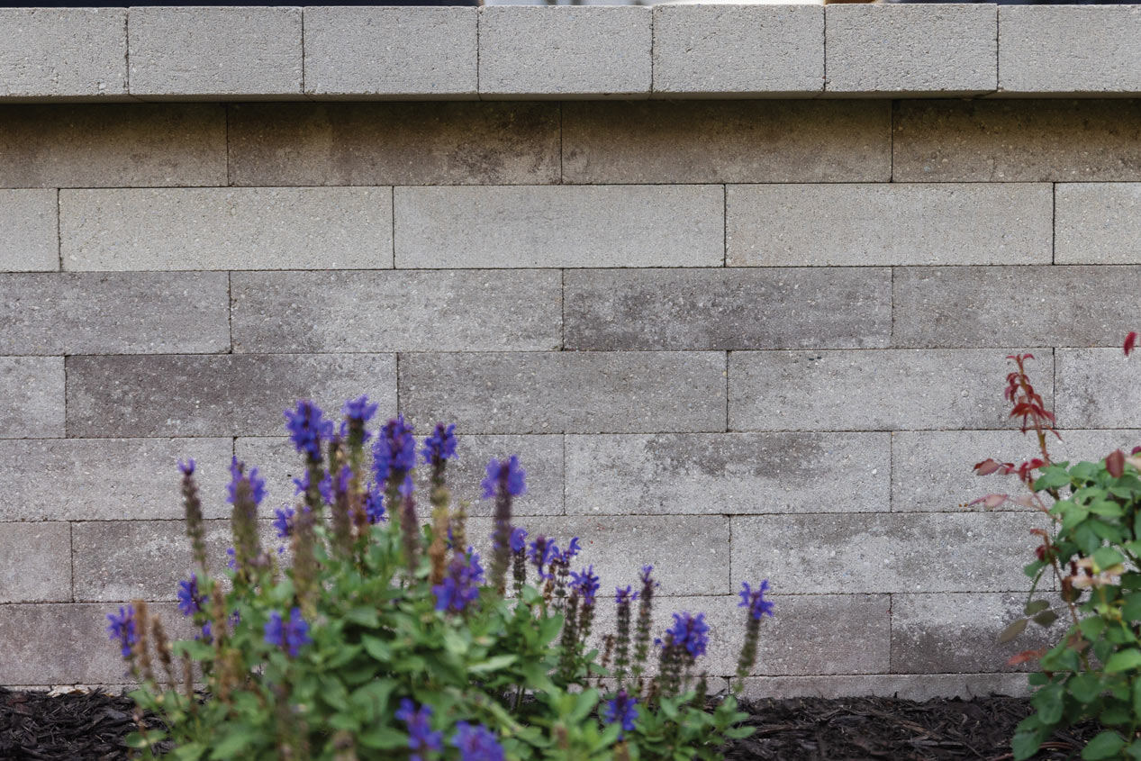 2024_CMC_Landscape_Gallery_Garden_Refuge_2