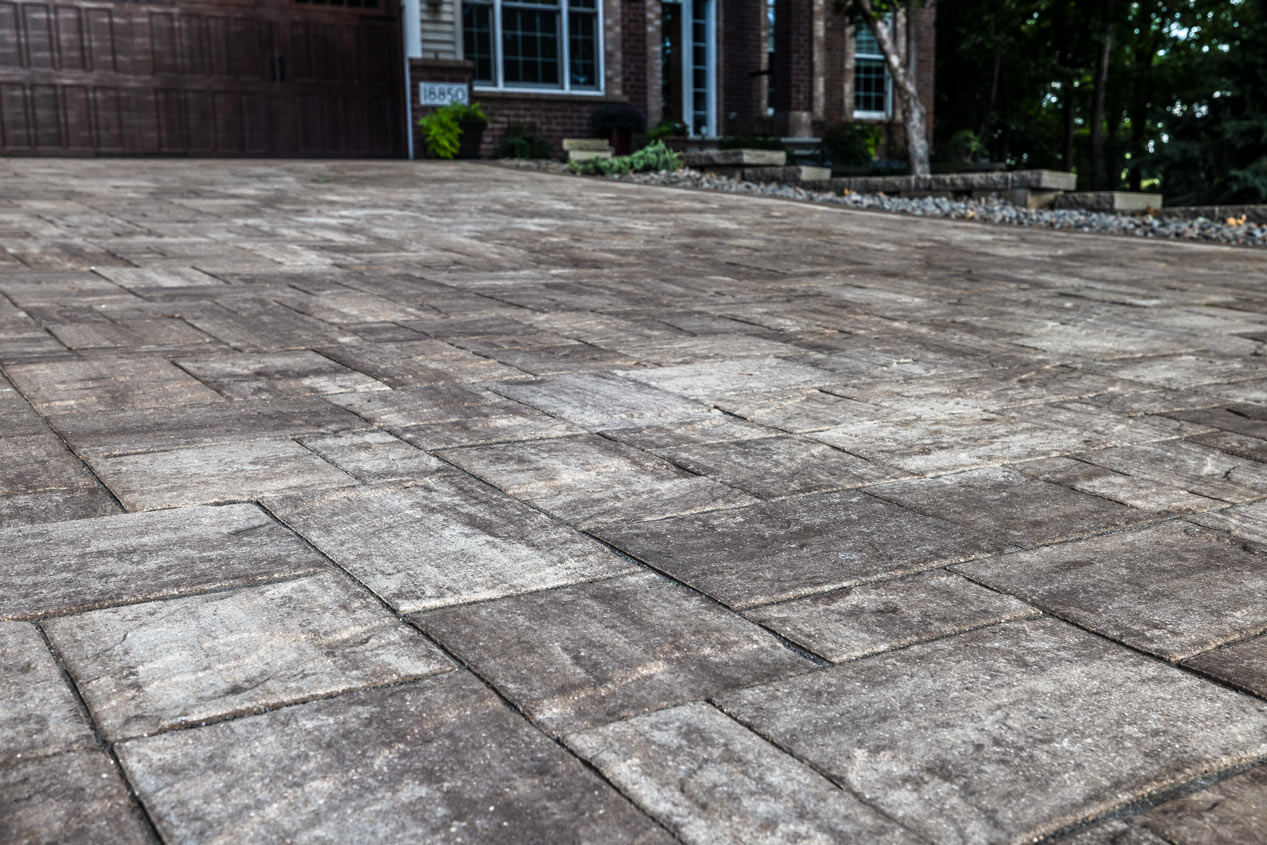 2023_CMC_Landscape_Kanabec_Trail_6